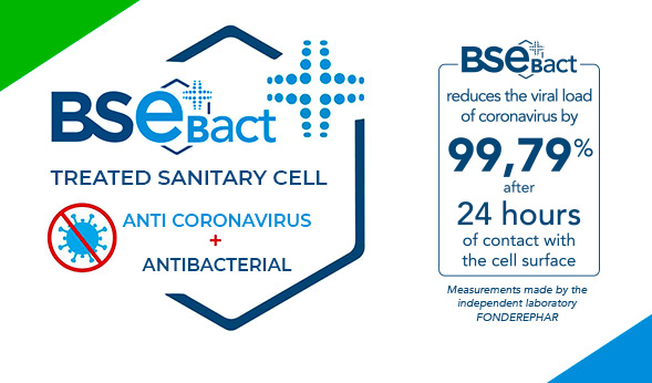 Cell BSEbact presentation